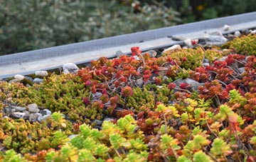 the cost of Buckland Monachorum green roof installation
