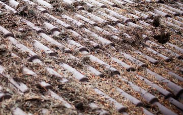 Buckland Monachorum roof cleaning companies