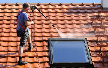 roof cleaning Buckland Monachorum, Devon
