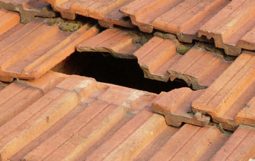 roof repair Buckland Monachorum, Devon