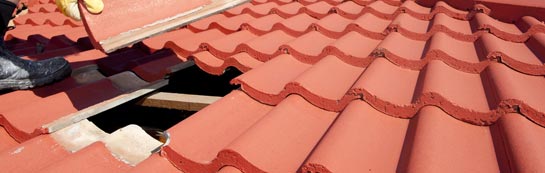 compare Buckland Monachorum roof repair quotes