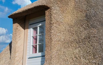 Buckland Monachorum thatch roof disadvantages