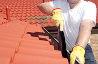 Buckland Monachorum roof cleaners